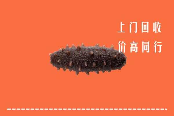 龙岩高价回收海参