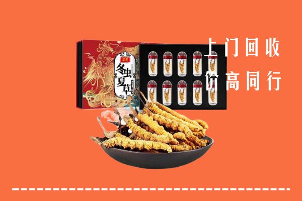 收购行情：龙岩回收虫草